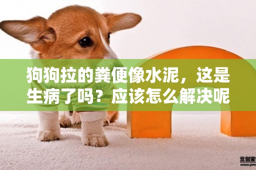 狗狗拉的糞便像水泥，這是生病了嗎？應該怎么解決呢？