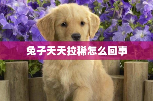 兔子天天拉稀怎么回事