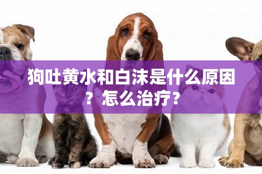 狗吐黃水和白沫是什么原因？怎么治療？