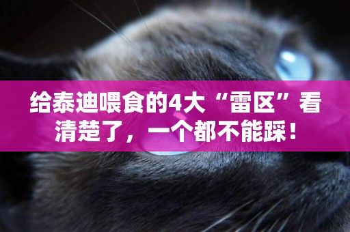 給泰迪喂食的4大“雷區”看清楚了，一個都不能踩！