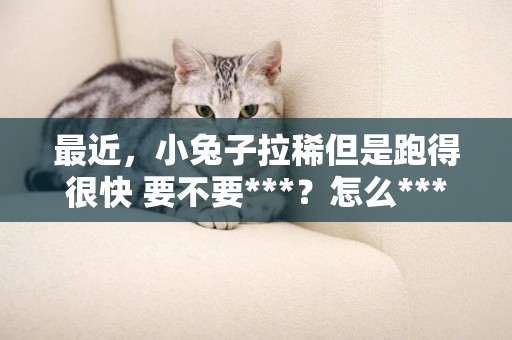 最近，小兔子拉稀但是跑得很快 要不要***？怎么***？