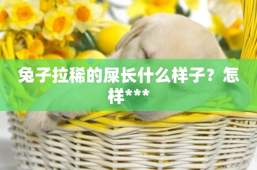 兔子拉稀的屎長什么樣子？怎樣***