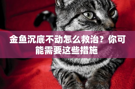 金魚沉底不動怎么救治？你可能需要這些措施 
