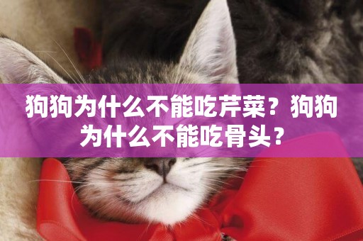 狗狗為什么不能吃芹菜？狗狗為什么不能吃骨頭？