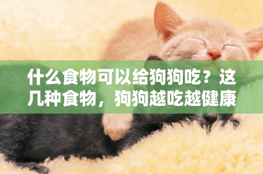 什么食物可以給狗狗吃？這幾種食物，狗狗越吃越健康！