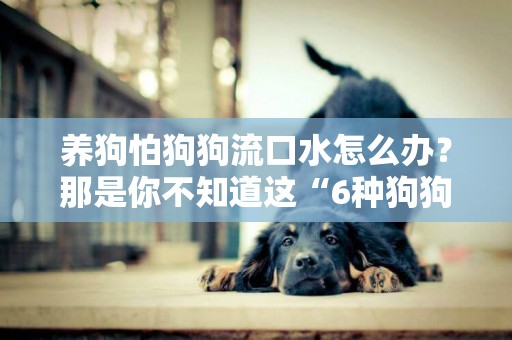 養狗怕狗狗流口水怎么辦？那是你不知道這“6種狗狗”！