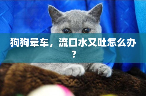狗狗暈車，流口水又吐怎么辦？