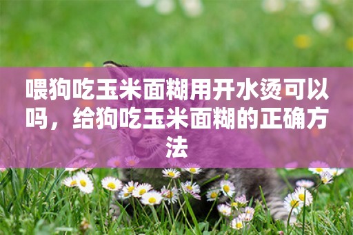 喂狗吃玉米面糊用開水燙可以嗎，給狗吃玉米面糊的正確方法