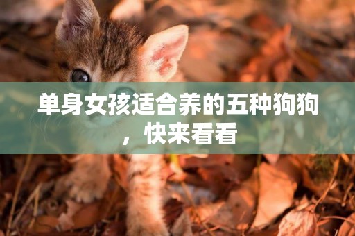 單身女孩適合養的五種狗狗，快來看看