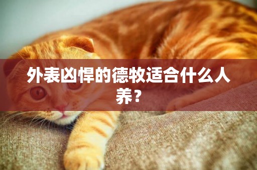 外表兇悍的德牧適合什么人養？