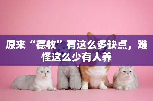 原來“德牧”有這么多缺點，難怪這么少有人養