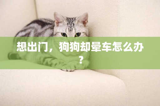 想出門，狗狗卻暈車怎么辦？