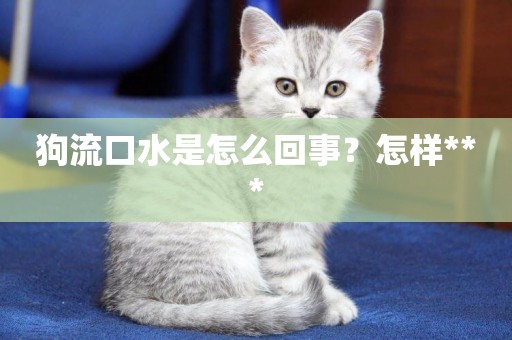 狗流口水是怎么回事？怎樣***