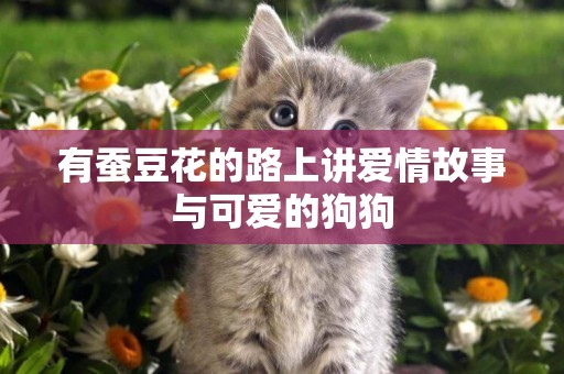 有蠶豆花的路上講愛情故事與可愛的狗狗