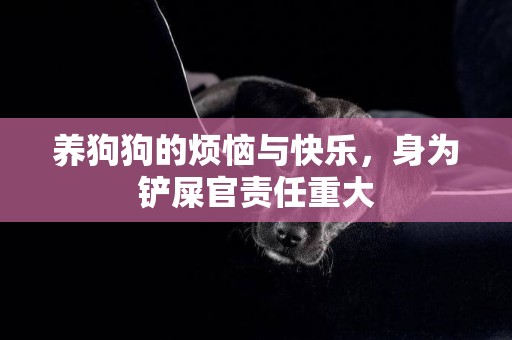 養狗狗的煩惱與快樂，身為鏟屎官責任重大