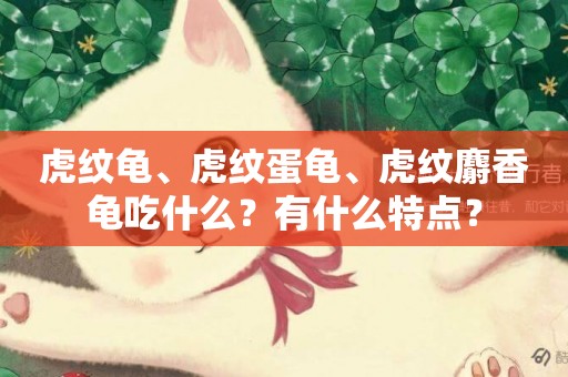 虎紋龜、虎紋蛋龜、虎紋麝香龜吃什么？有什么特點？
