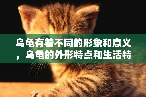 烏龜有著不同的形象和意義，烏龜的外形特點和生活特征