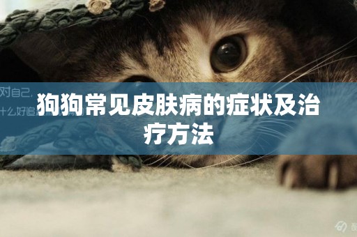 狗狗常見皮膚病的癥狀及治療方法