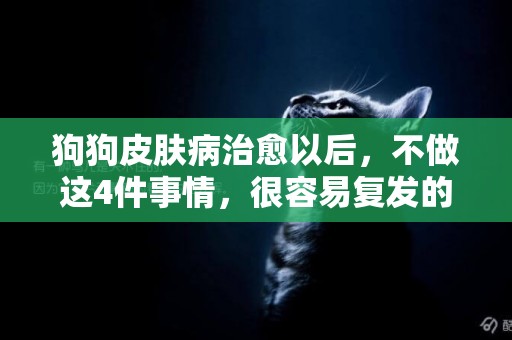 狗狗皮膚病治愈以后，不做這4件事情，很容易復發的