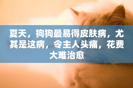 夏天，狗狗最易得皮膚病，尤其是這病，令主人頭痛，花費大難治愈