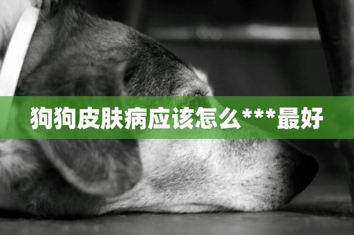 狗狗皮膚病應該怎么***最好