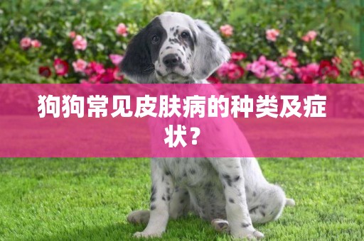 狗狗常見皮膚病的種類及癥狀？