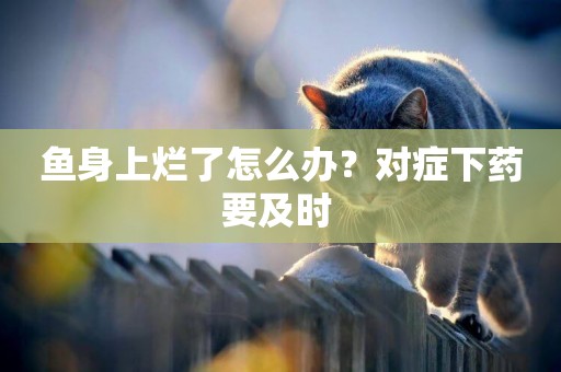 魚身上爛了怎么辦？對癥下藥要及時 