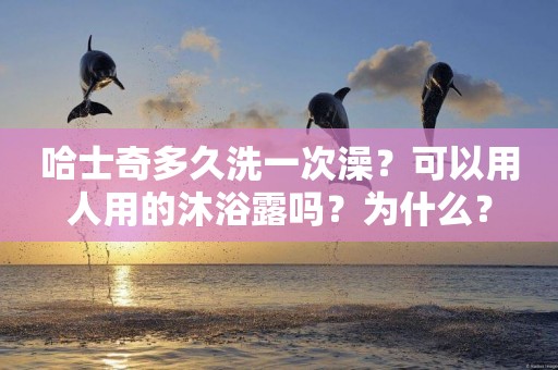 哈士奇多久洗一次澡？可以用人用的沐浴露嗎？為什么？