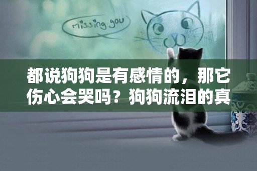 都說狗狗是有感情的，那它傷心會哭嗎？狗狗流淚的真實原因