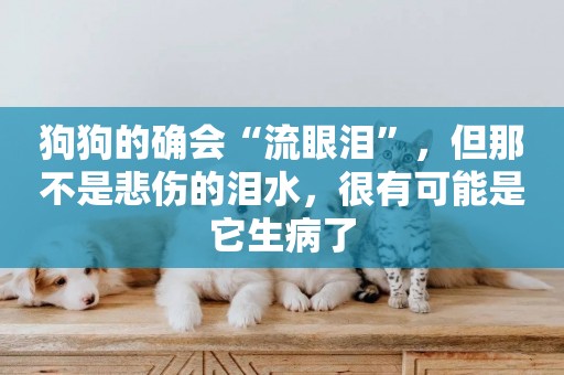 狗狗的確會“流眼淚”，但那不是悲傷的淚水，很有可能是它生病了