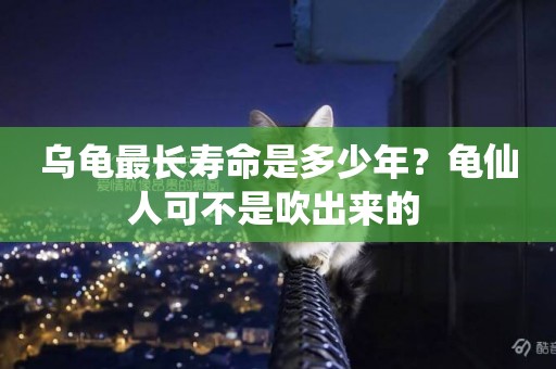 烏龜最長壽命是多少年？龜仙人可不是吹出來的 