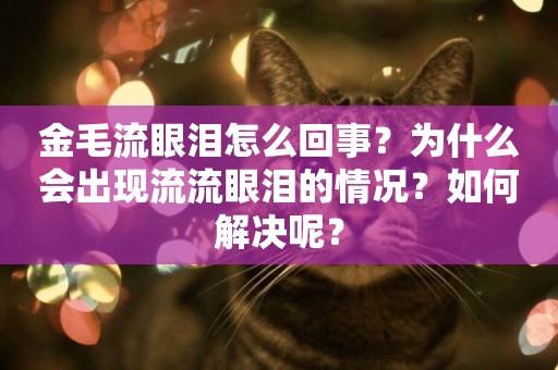 金毛流眼淚怎么回事？為什么會出現流流眼淚的情況？如何解決呢？
