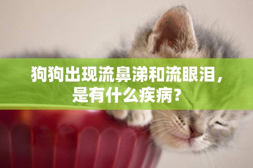 狗狗出現流鼻涕和流眼淚，是有什么疾病？