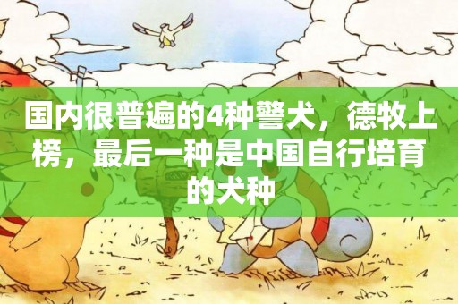 國內很普遍的4種警犬，德牧上榜，最后一種是中國自行培育的犬種