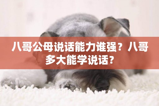 八哥公母說話能力誰強？八哥多大能學說話？