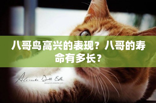 八哥鳥高興的表現？八哥的壽命有多長？