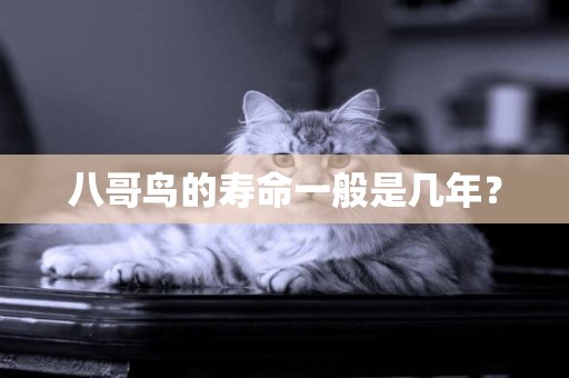八哥鳥的壽命一般是幾年？