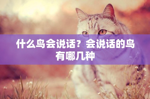 什么鳥會說話？會說話的鳥有哪幾種