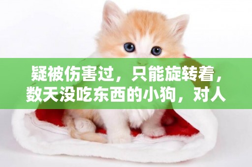 疑被傷害過，只能旋轉著，數天沒吃東西的小狗，對人類卻還很信任