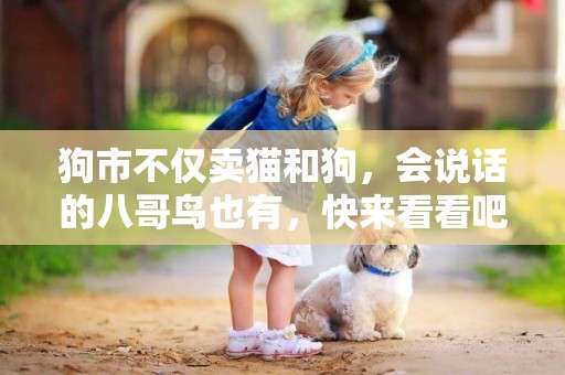 狗市不僅賣貓和狗，會說話的八哥鳥也有，快來看看吧！