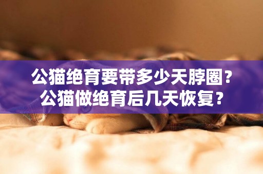公貓絕育要帶多少天脖圈？公貓做絕育后幾天恢復？
