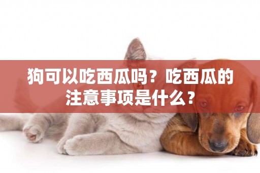 狗可以吃西瓜嗎？吃西瓜的注意事項是什么？