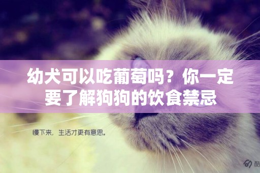 幼犬可以吃葡萄嗎？你一定要了解狗狗的飲食禁忌