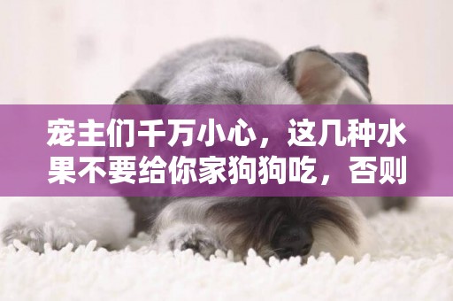 寵主們千萬小心，這幾種水果不要給你家狗狗吃，否則好心辦壞事了
