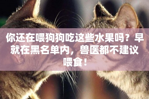 你還在喂狗狗吃這些水果嗎？早就在黑名單內，獸醫都不建議喂食！