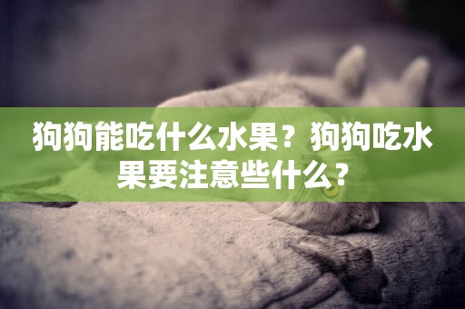 狗狗能吃什么水果？狗狗吃水果要注意些什么？
