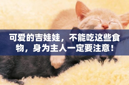 可愛的吉娃娃，不能吃這些食物，身為主人一定要注意！