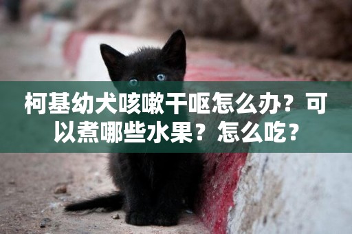 柯基幼犬咳嗽干嘔怎么辦？可以煮哪些水果？怎么吃？