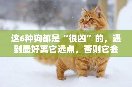 這6種狗都是“很兇”的，遇到最好離它遠點，否則它會咬你的