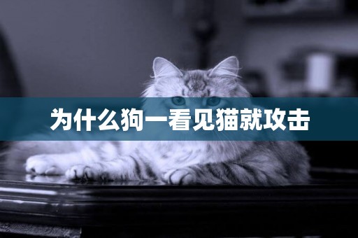 為什么狗一看見貓就攻擊